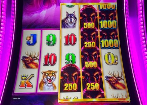 neily 777|777 neilly slots.